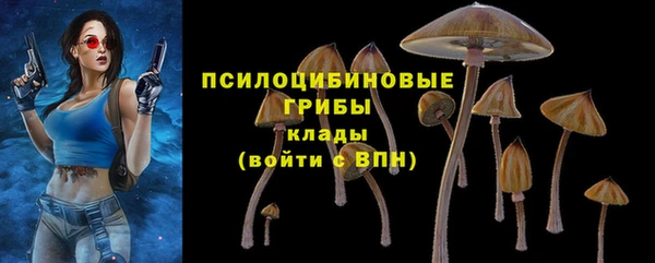 прущий лед Алексин
