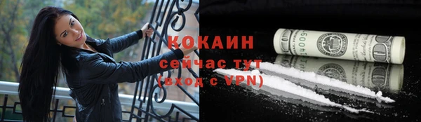 прущий лед Алексин
