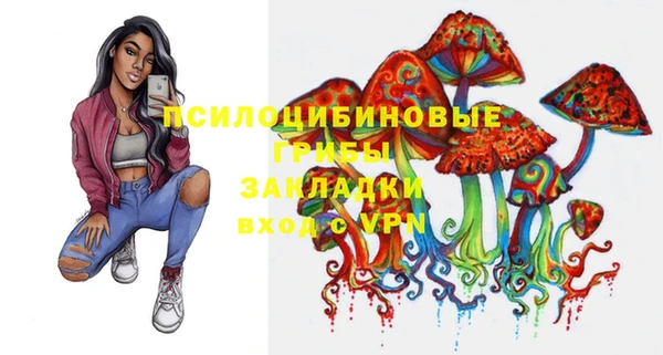 прущий лед Алексин